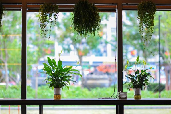 Spinarium promotiepagina 2025: overzicht van lopende bonussen